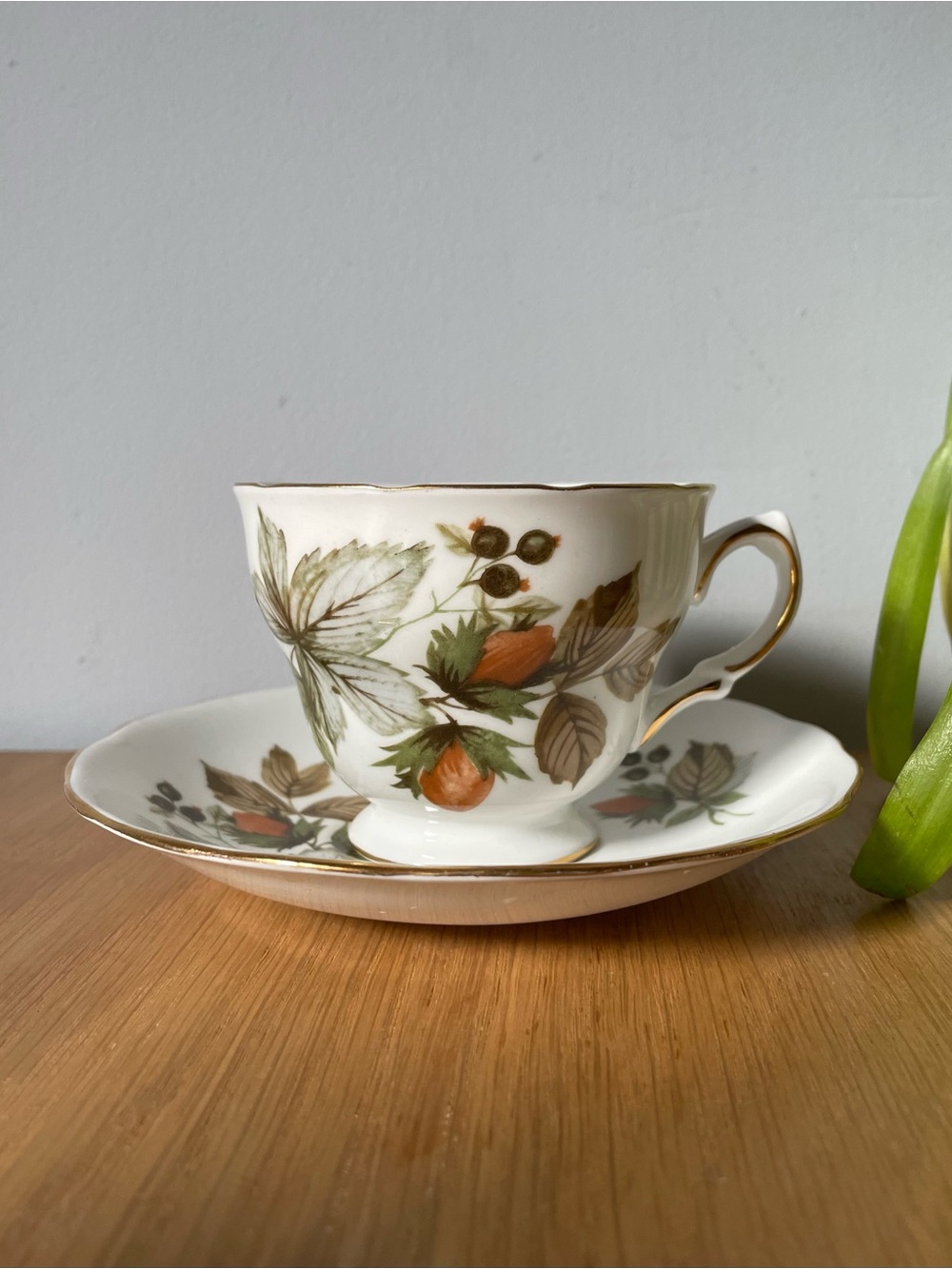 Vintage Royal Vale Bone China Teacup Saucer Set Autumn Hazelnuts Pattern 8318